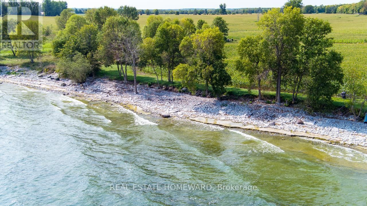 138 JARVIS LANE Image 16