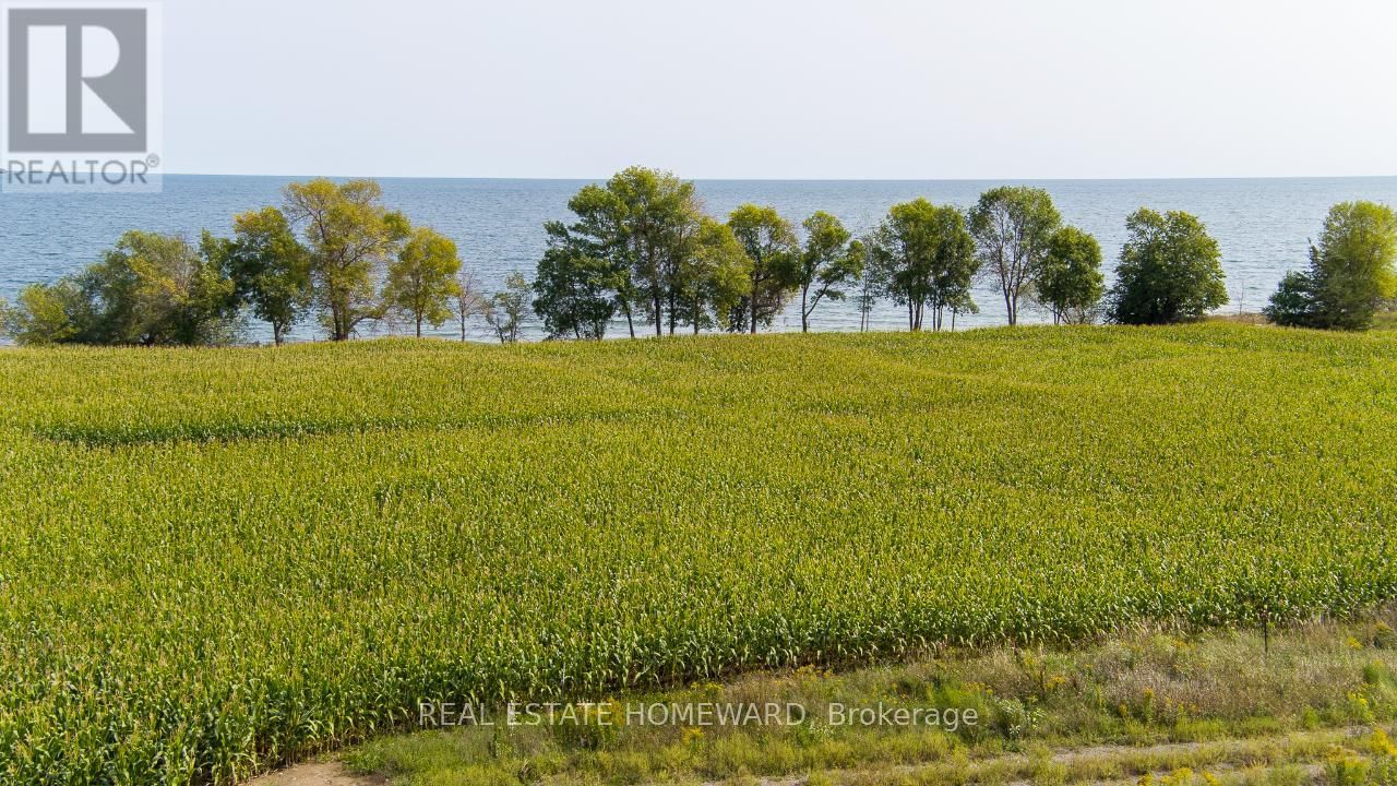 138 JARVIS LANE Image 21