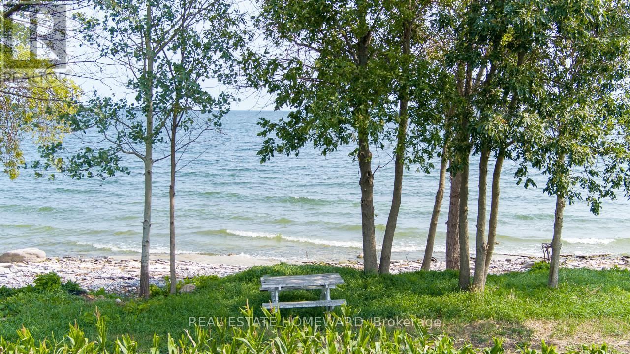 138 JARVIS LANE Image 37