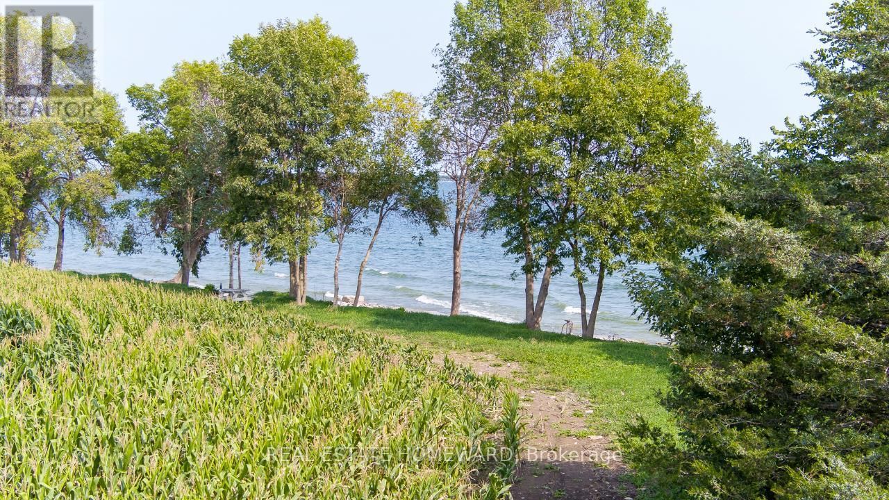 138 JARVIS LANE Image 39