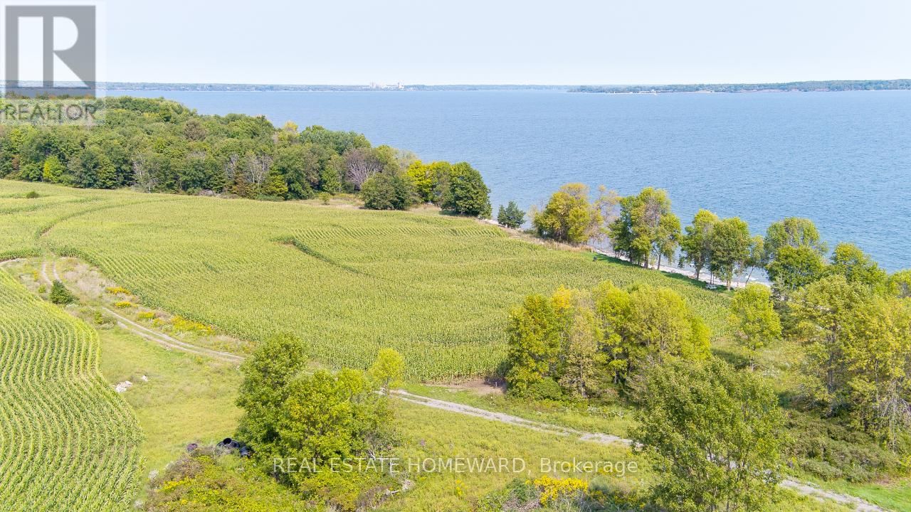 138 JARVIS LANE Image 8