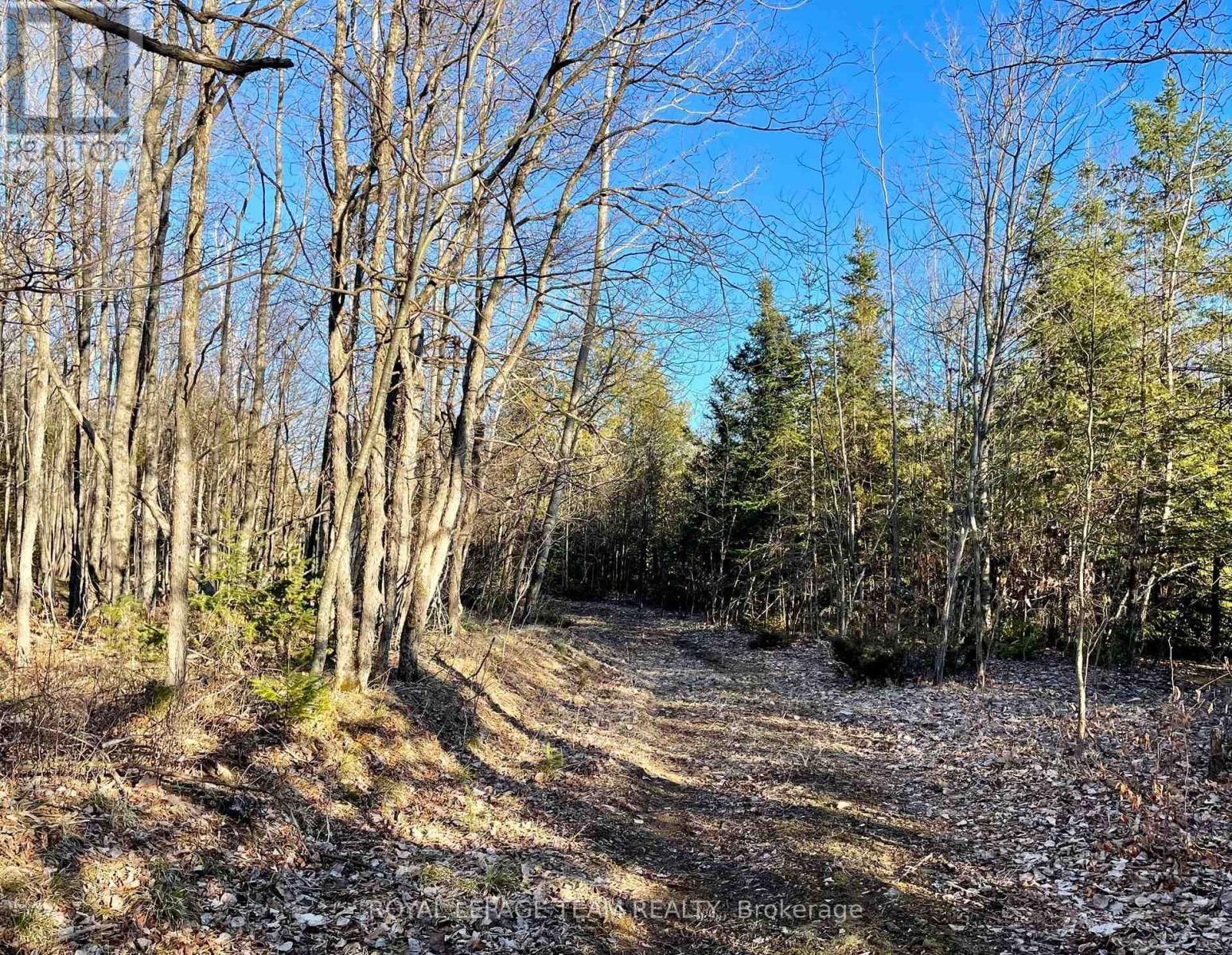 4265 ROGER STEVENS DRIVE Image 43