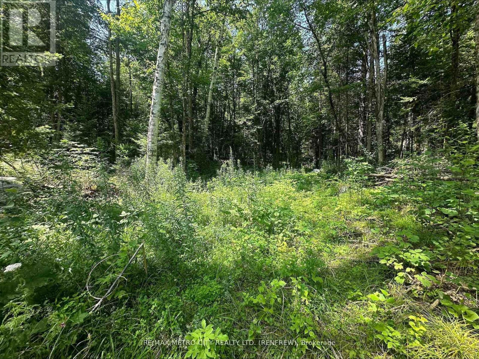 0 MOUNT ST PATRICK ROAD Image 12