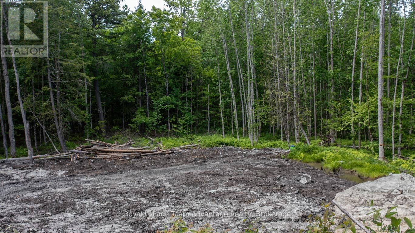 40 SUNNYSHORE PARK DRIVE Image 4