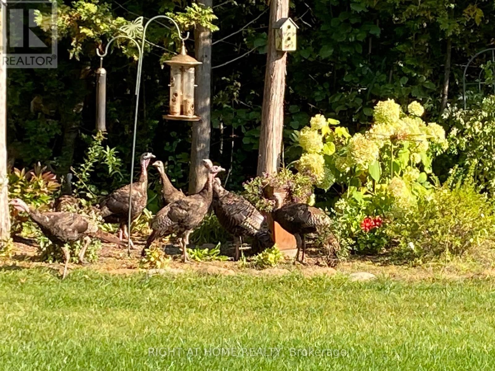 216 MOUNT HOREB ROAD Image 43