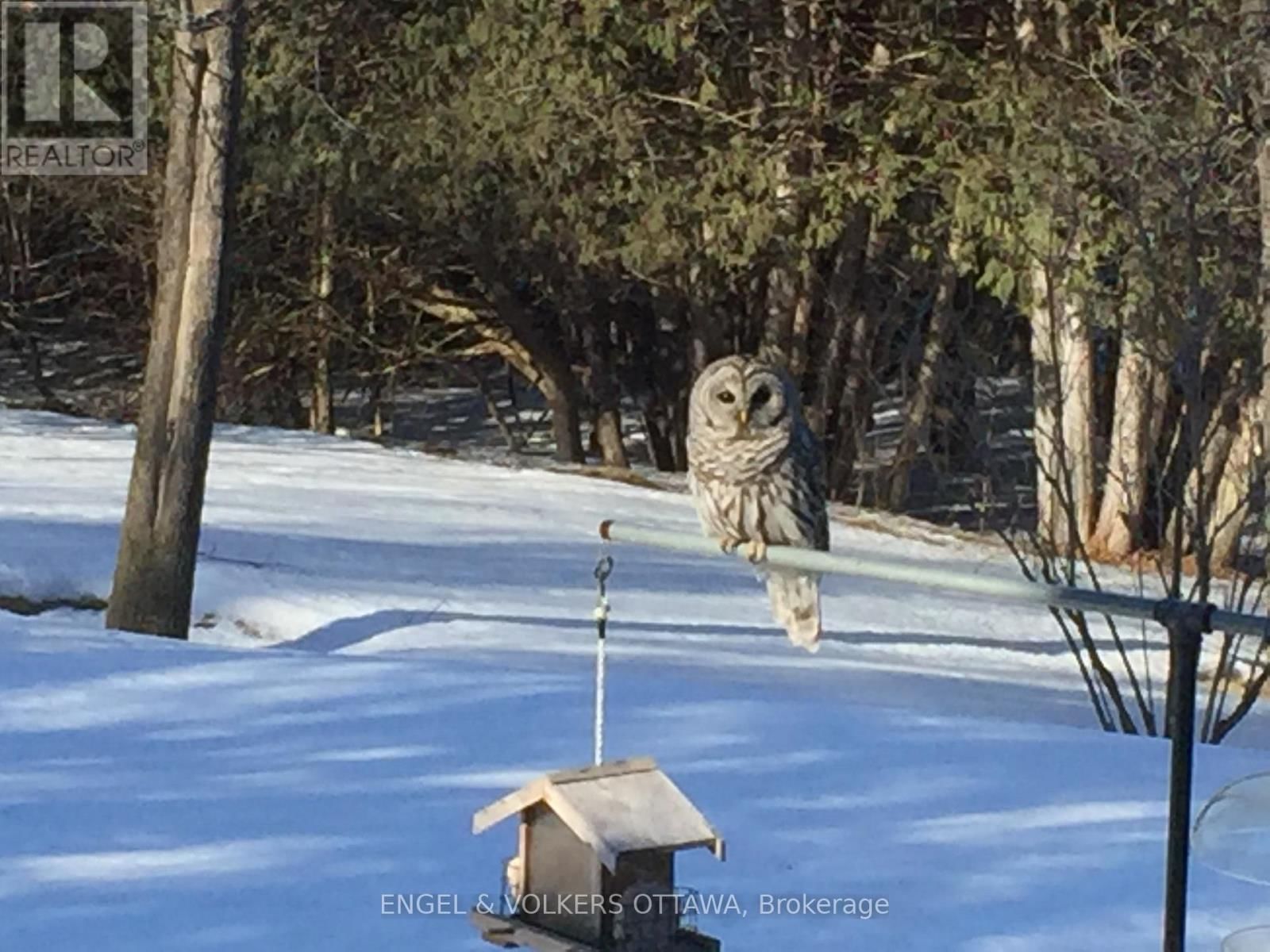 4637 NORTHWOODS DRIVE Image 50