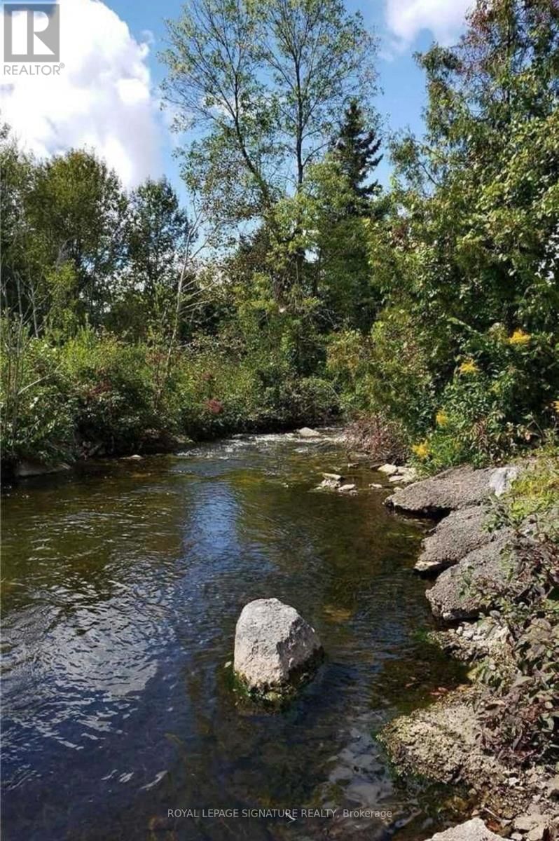 9 TALBOT RIVER ROAD Image 21