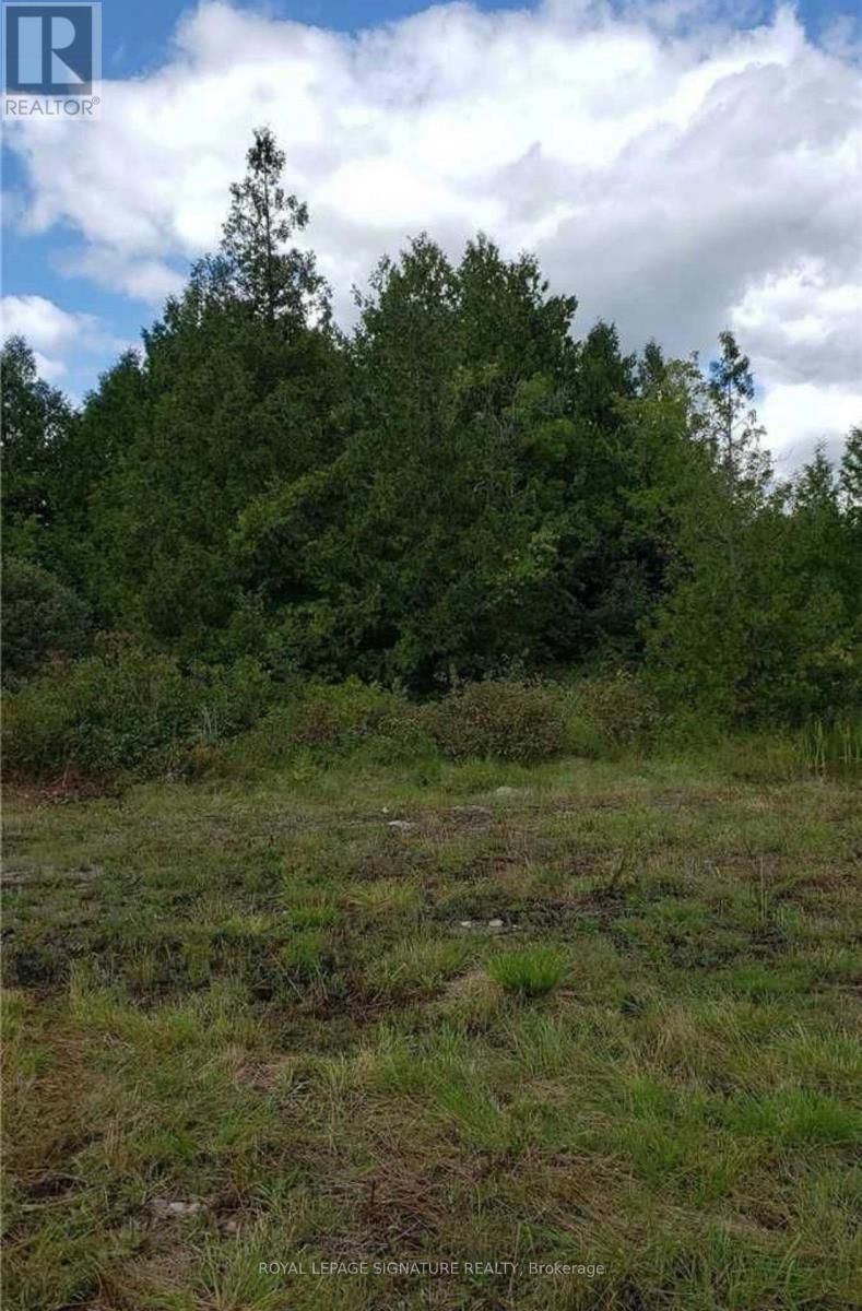 9 TALBOT RIVER ROAD Image 26