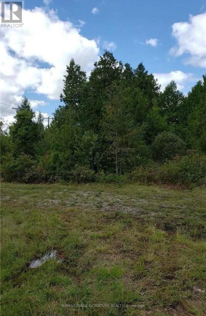 9 TALBOT RIVER ROAD Image 29