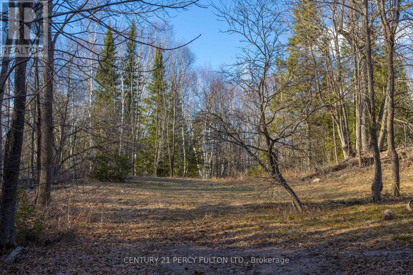 L 24&25 - 0 LOST NATION ROAD Image 31