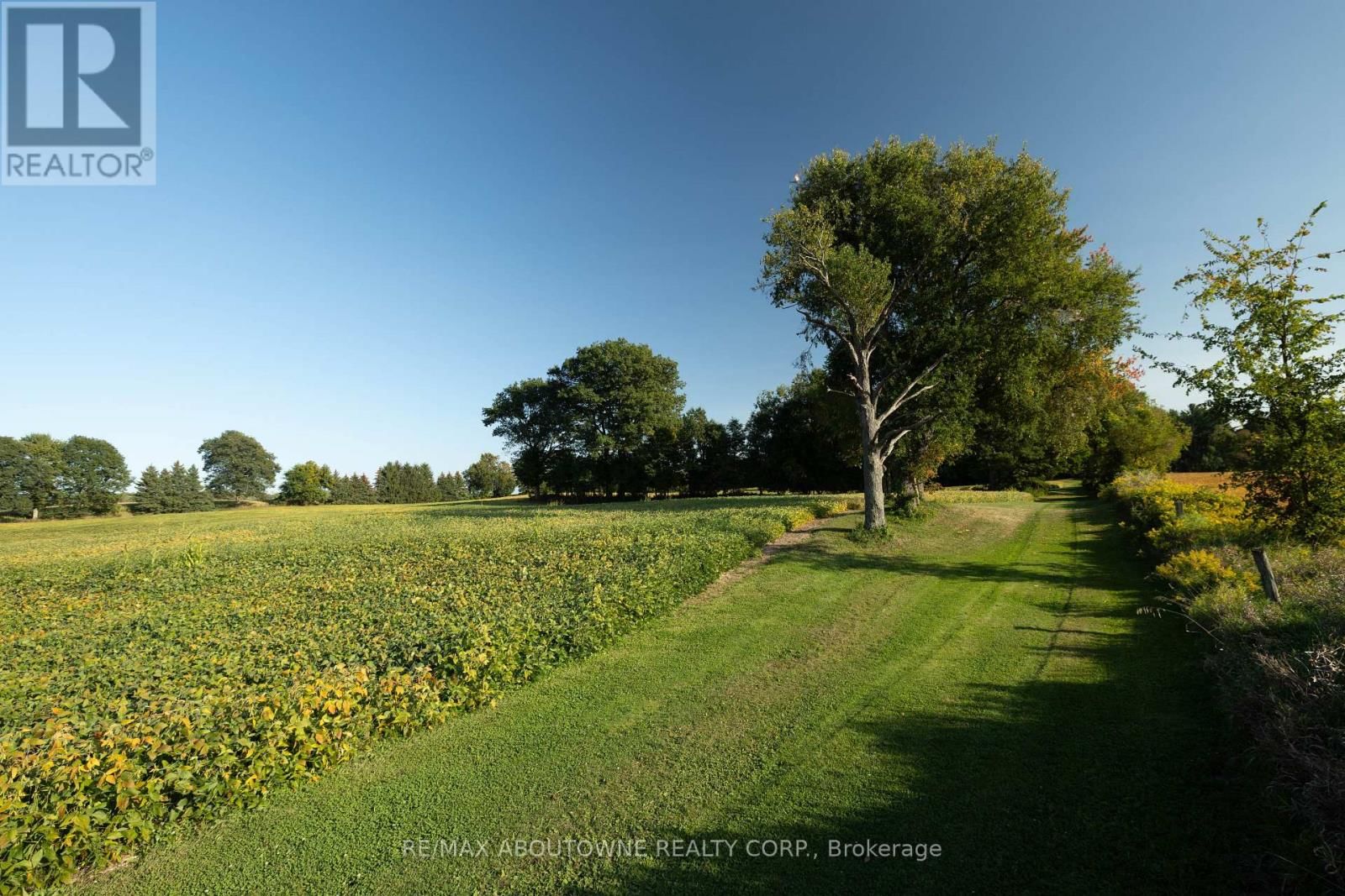 3276 GOVERNORS ROAD Image 46