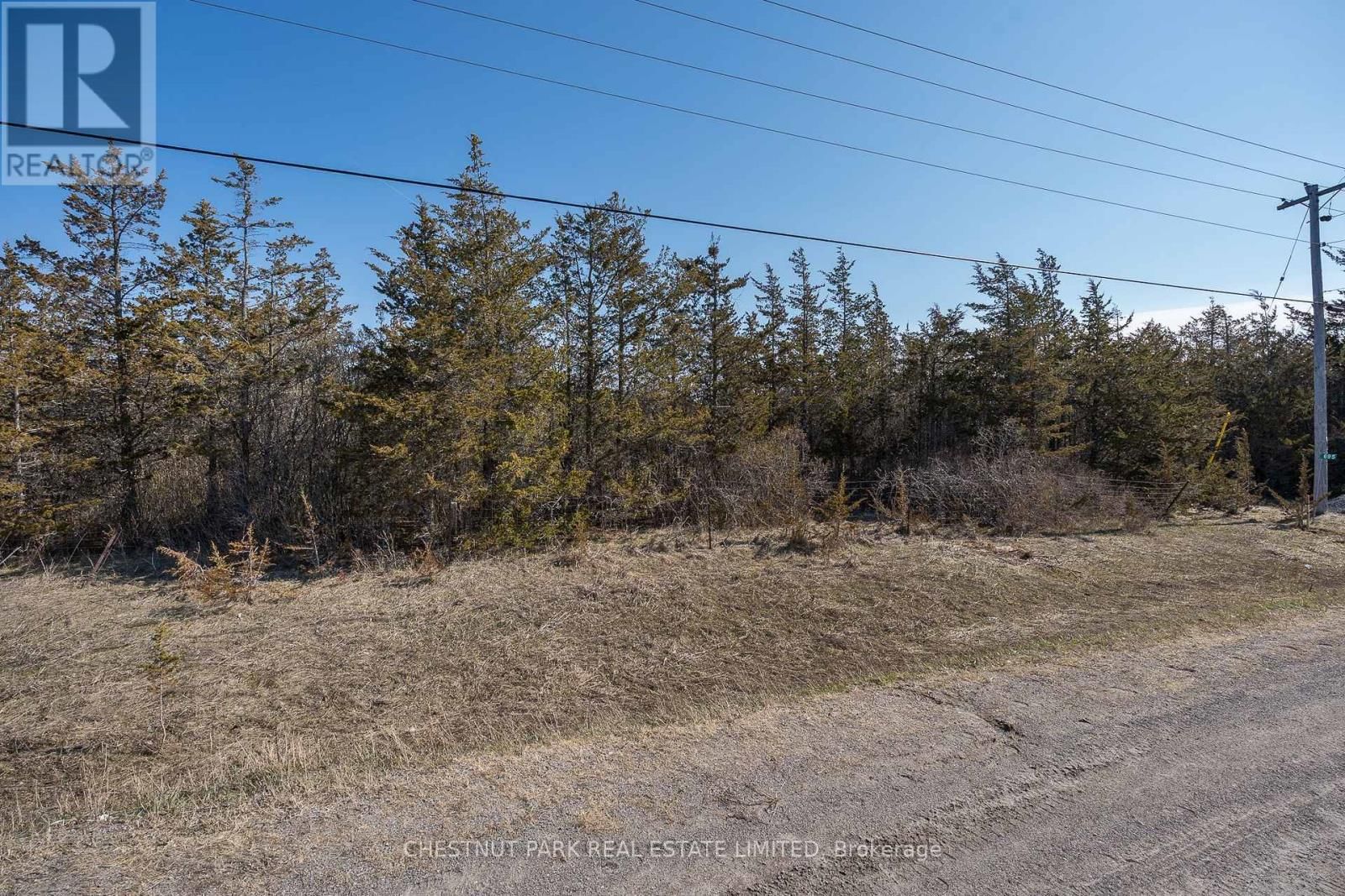 695 COUNTY ROAD 7 Image 12