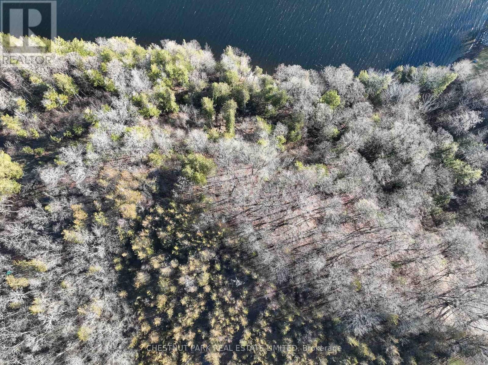 695 COUNTY ROAD 7 Image 7