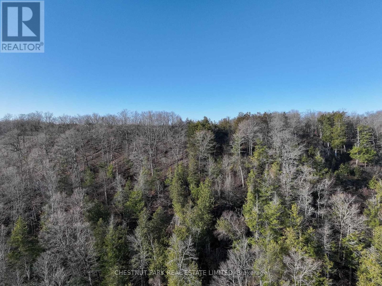 695 COUNTY ROAD 7 Image 9