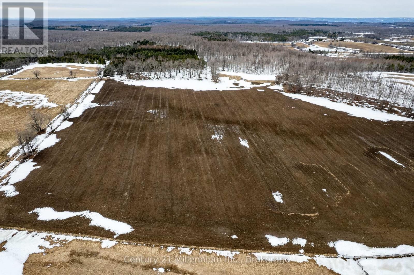 595298 4TH LINE Image 8