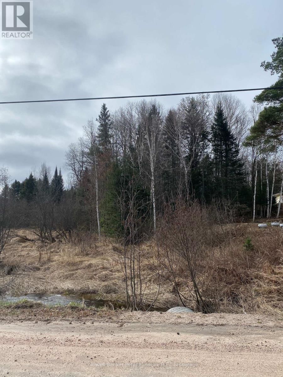 Lt 21 PCL 21923 SEC NIP; PT LT 21 CON 10 ROAD Image 3