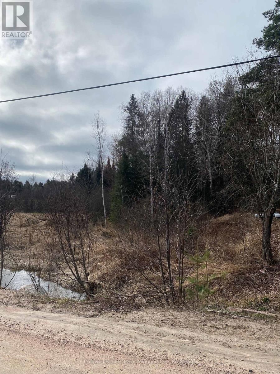 Lt 21 PCL 21923 SEC NIP; PT LT 21 CON 10 ROAD Image 4