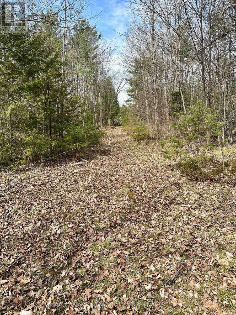 2981 COUNTY ROAD 44 Image 10