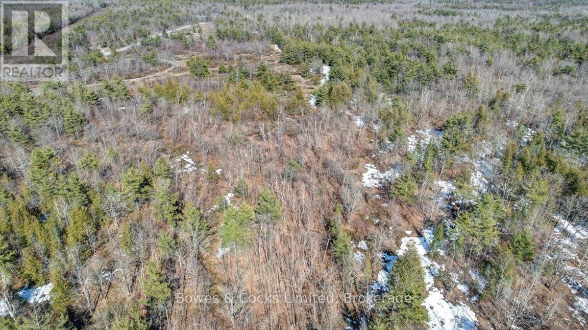 2981 COUNTY ROAD 44 Image 25