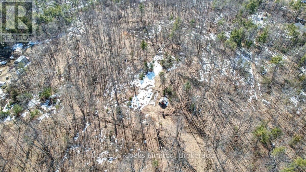 2981 COUNTY ROAD 44 Image 4