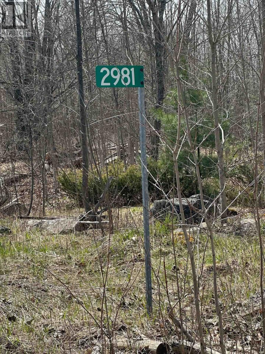 2981 COUNTY ROAD 44 Image 7