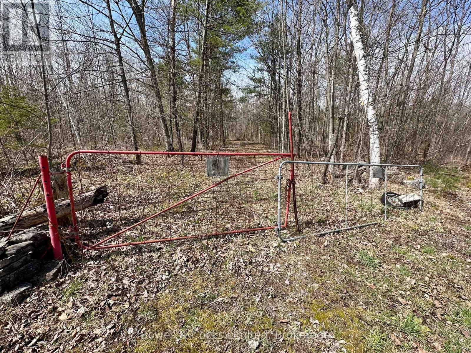 2981 COUNTY ROAD 44 Image 8