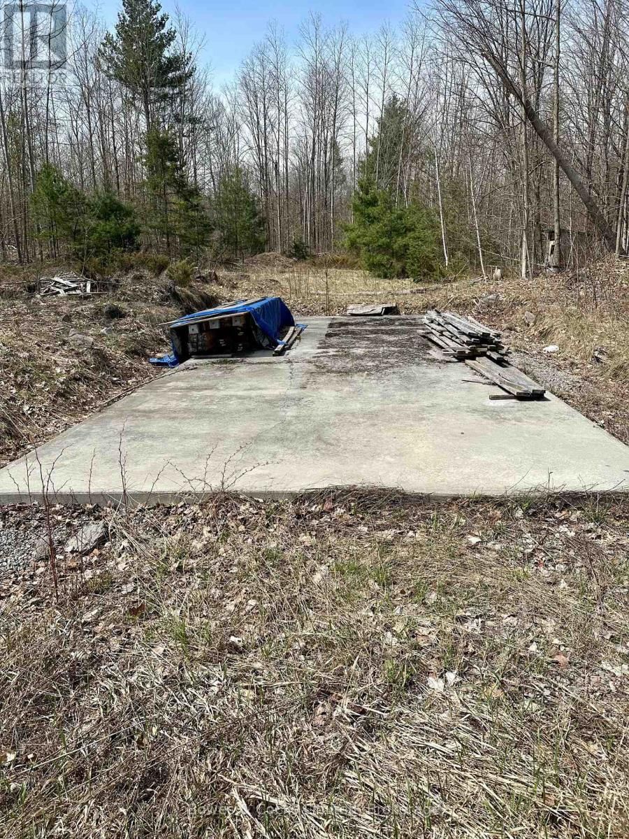 2981 COUNTY ROAD 44 Image 9