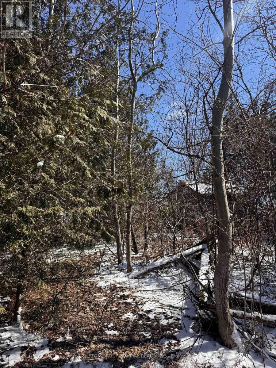 0 CONCESSION 7 Image 2