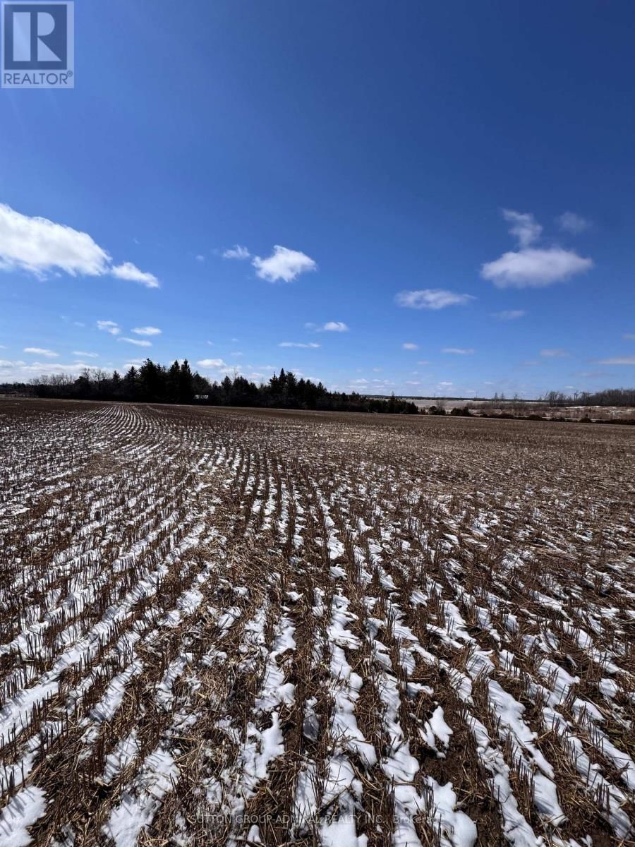 0 CONCESSION 7 Image 3