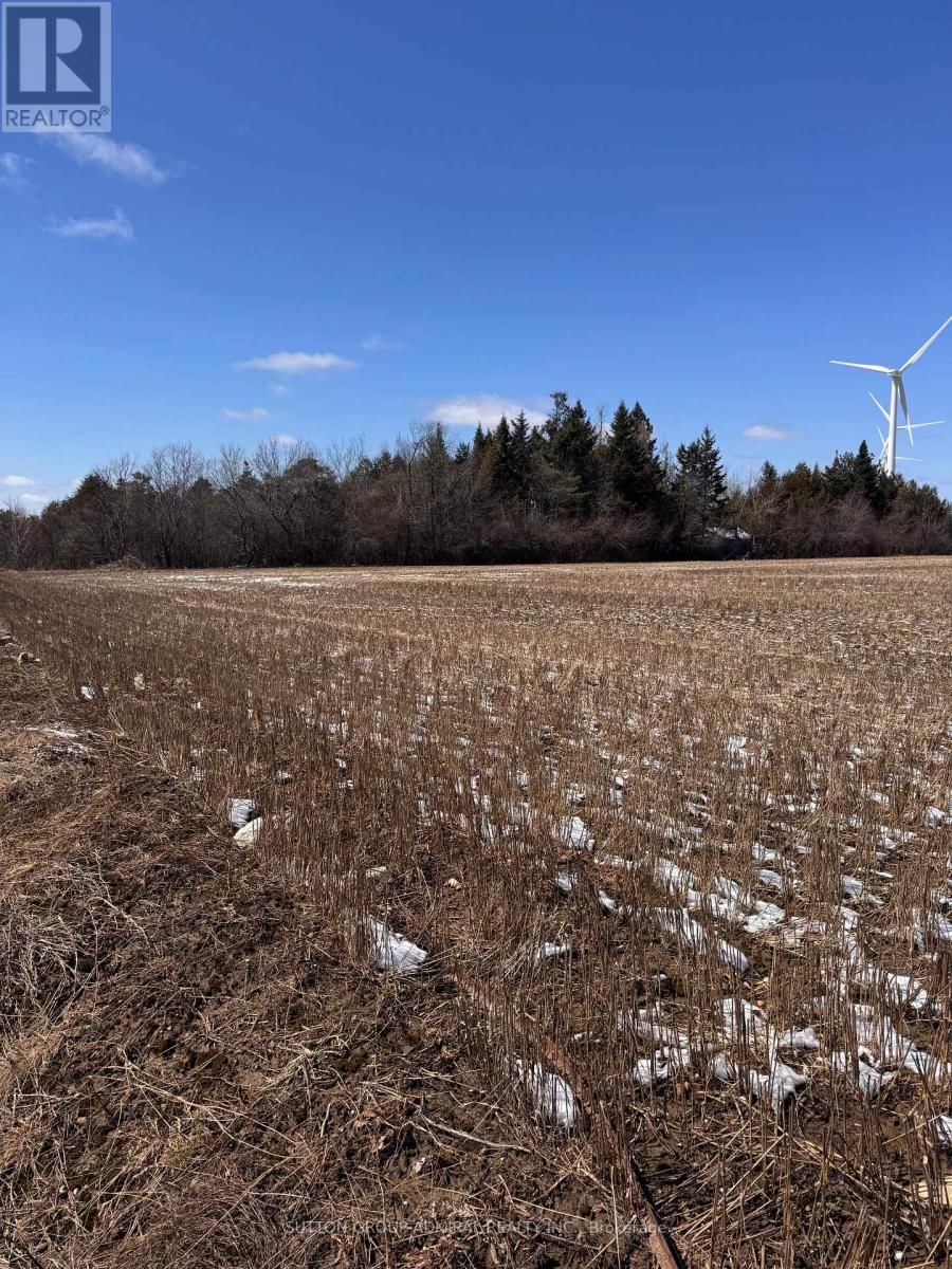 0 CONCESSION 7 Image 4