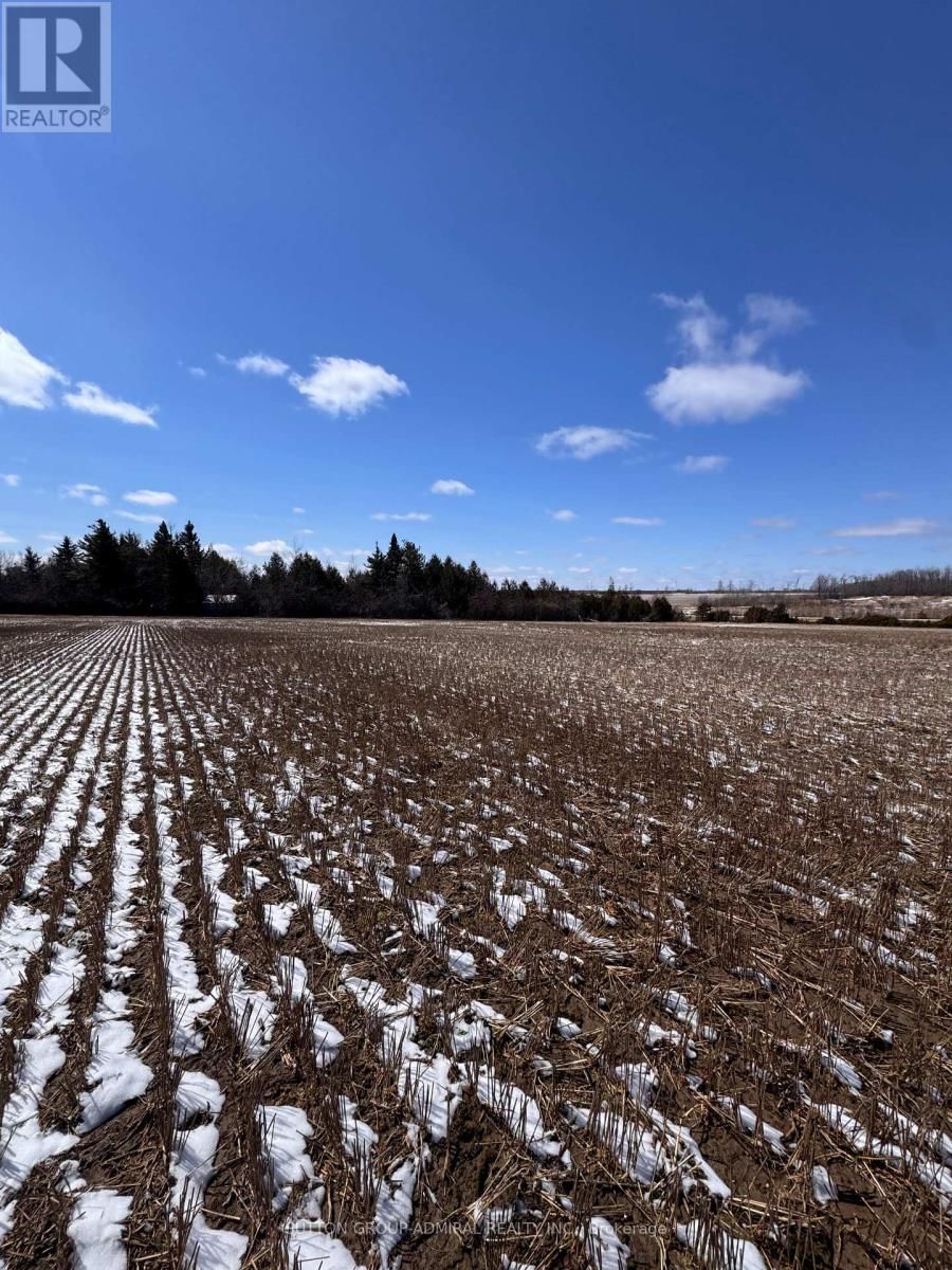 0 CONCESSION 7 Image 7