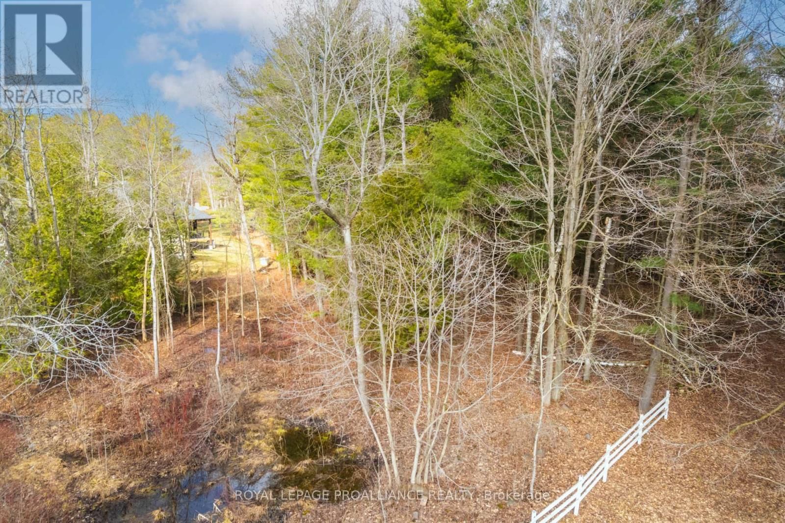 00 WHITES ROAD Image 21