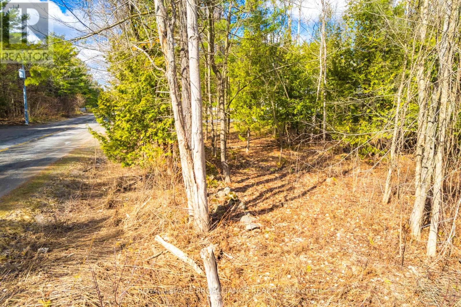 00 WHITES ROAD Image 24