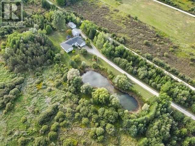 555118 MONO AMARANTH TOWNLINE Image 3