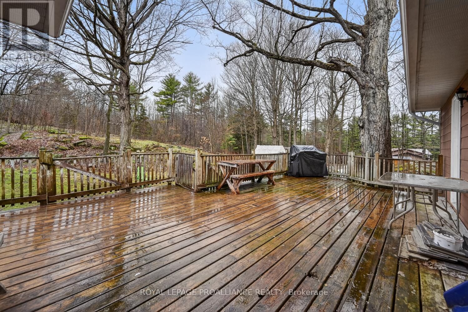 376 COUNTY ROAD 5 ROAD Image 10