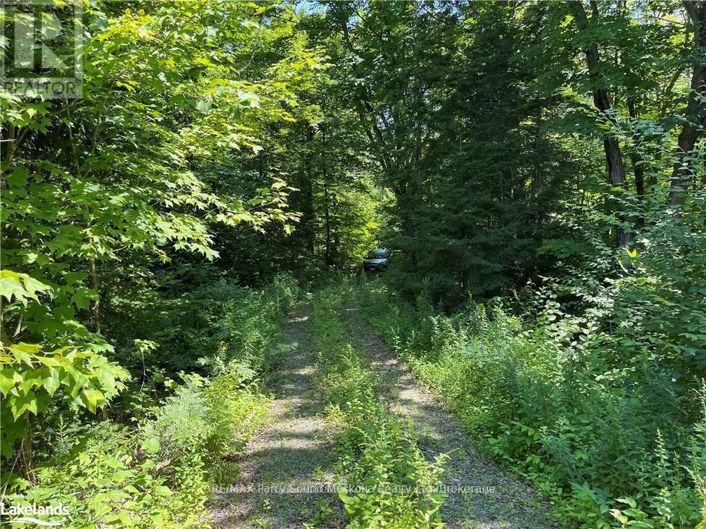 1035B 520 HIGHWAY NORTH Image 10