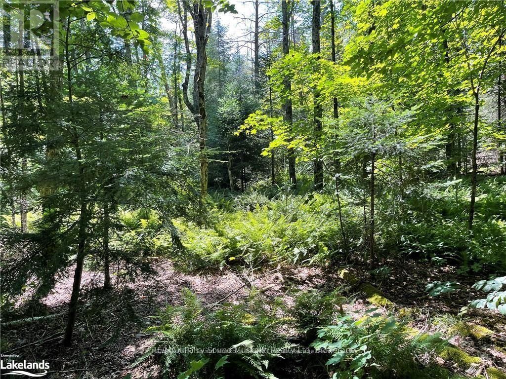 1035B 520 HIGHWAY NORTH Image 11