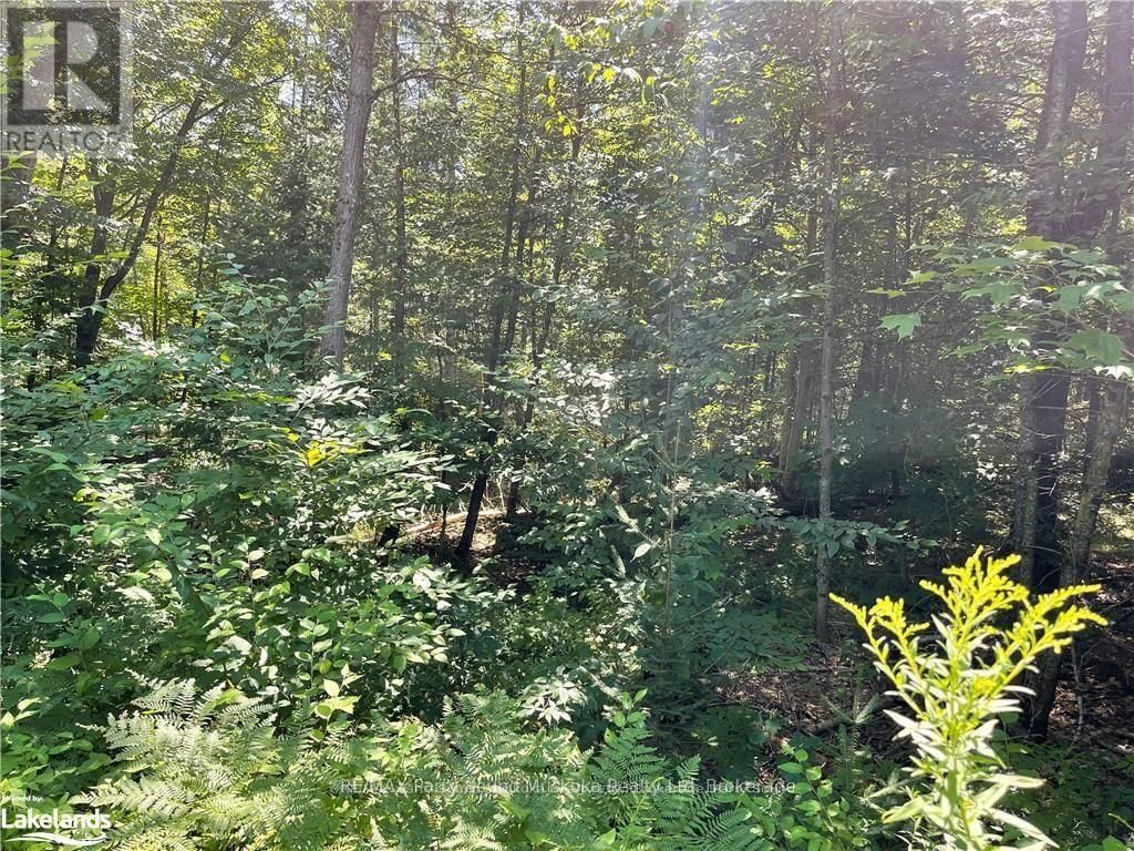 1035B 520 HIGHWAY NORTH Image 12