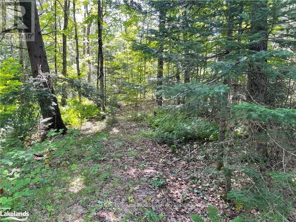 1035B 520 HIGHWAY NORTH Image 14