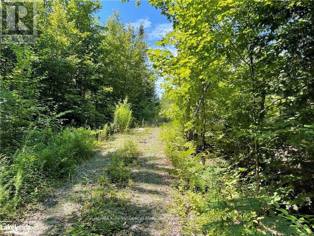 1035B 520 HIGHWAY NORTH Image 5