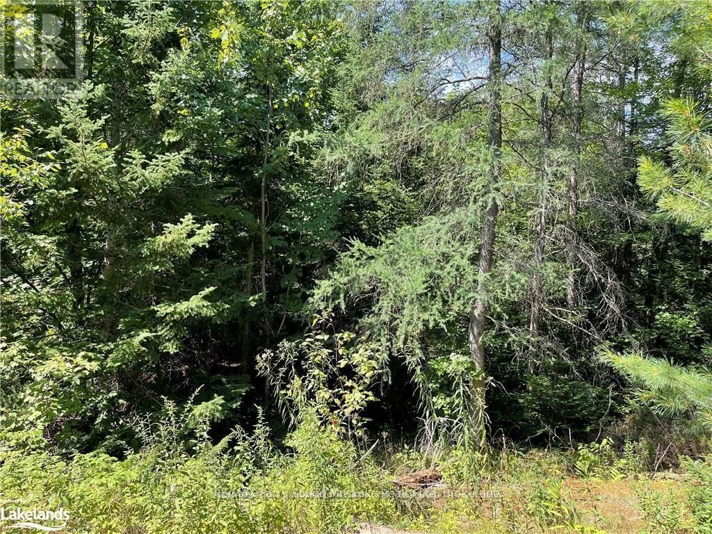 1035B 520 HIGHWAY NORTH Image 9