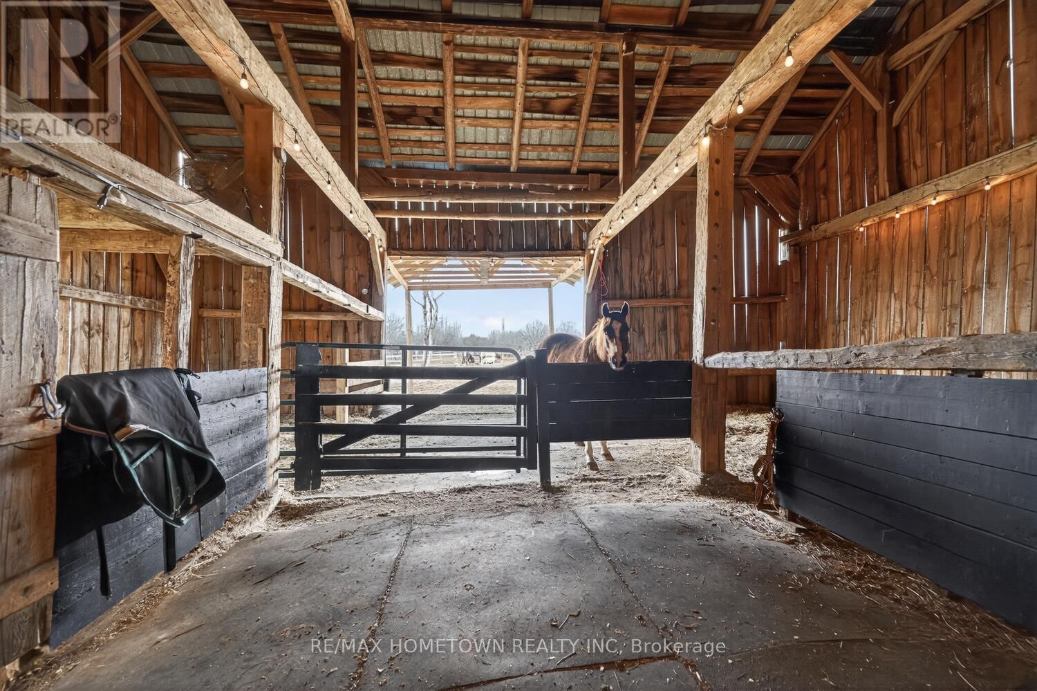 11842 ROCKSPRINGS ROAD Image 26