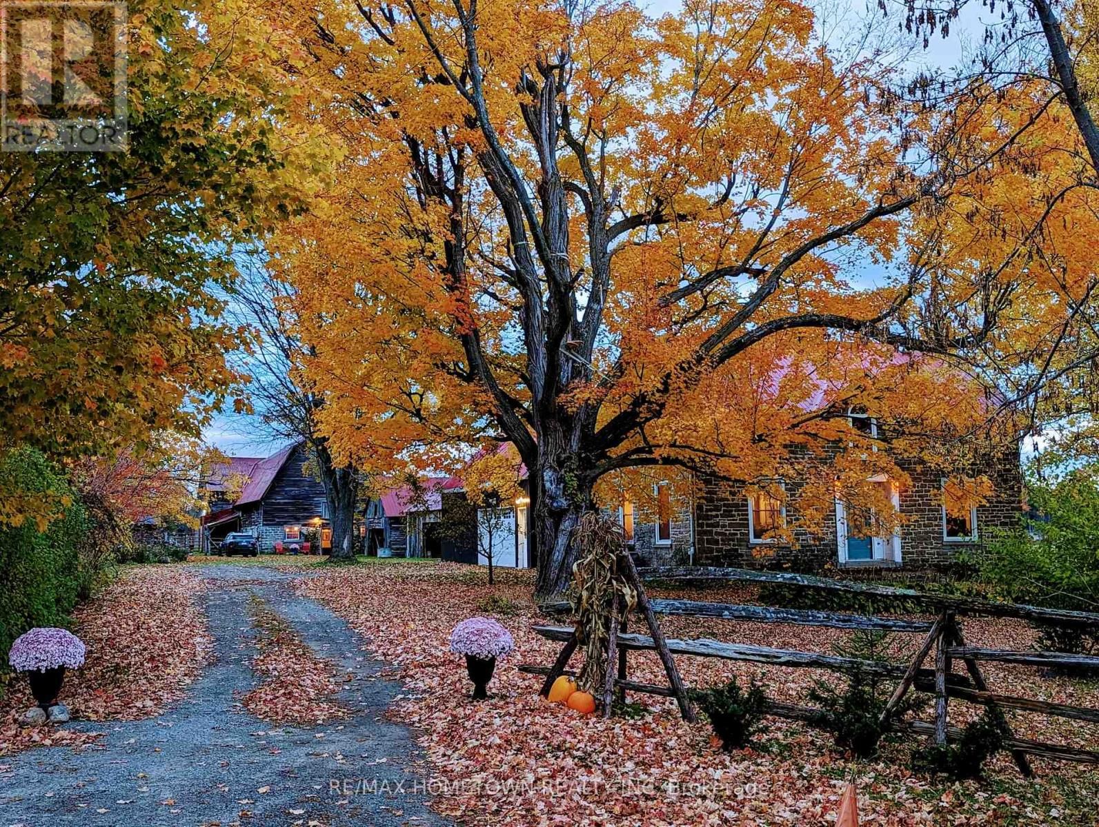 11842 ROCKSPRINGS ROAD Image 34