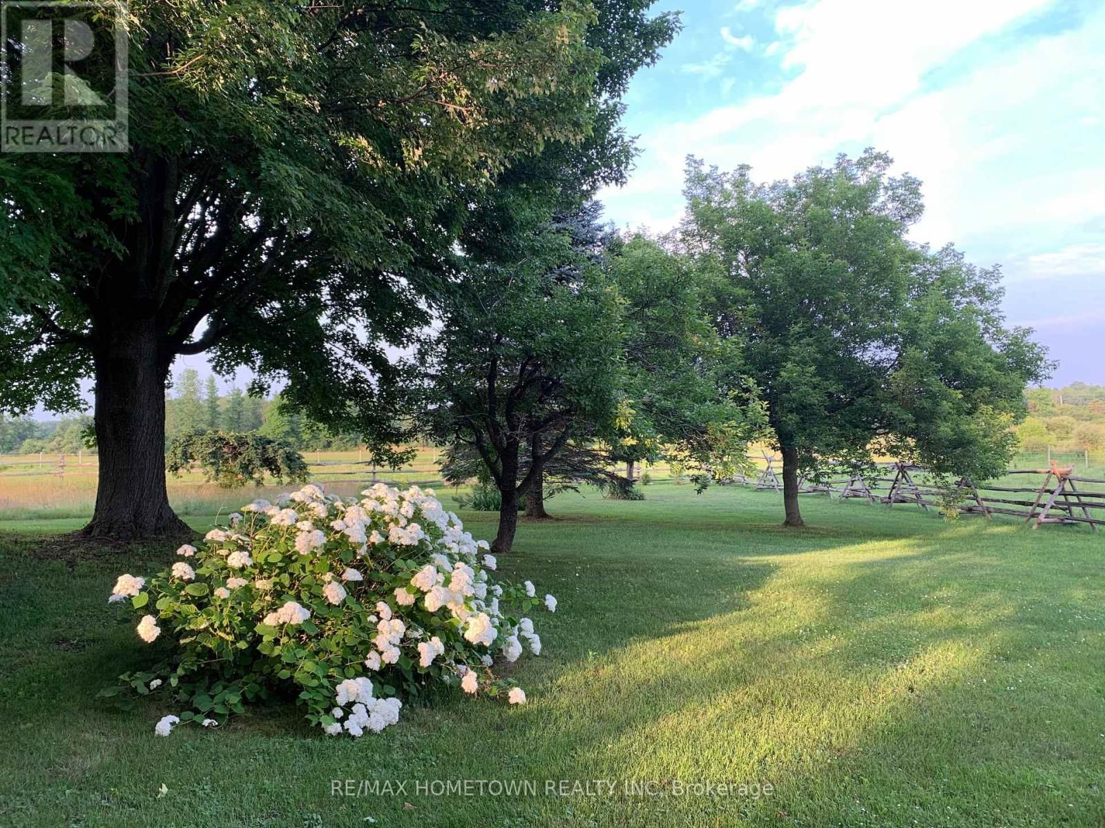 11842 ROCKSPRINGS ROAD Image 40