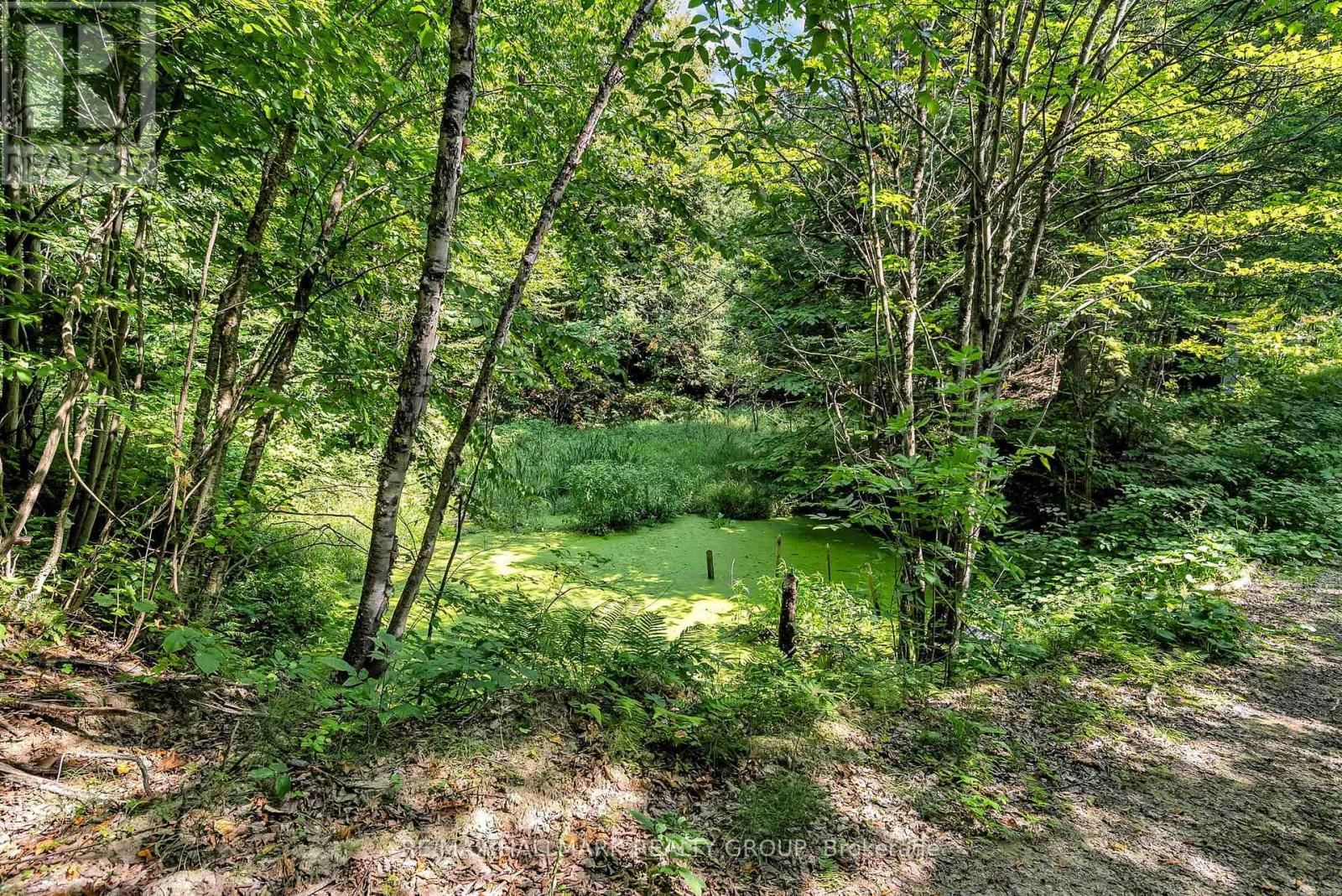 656 CH STATION ROAD Image 37