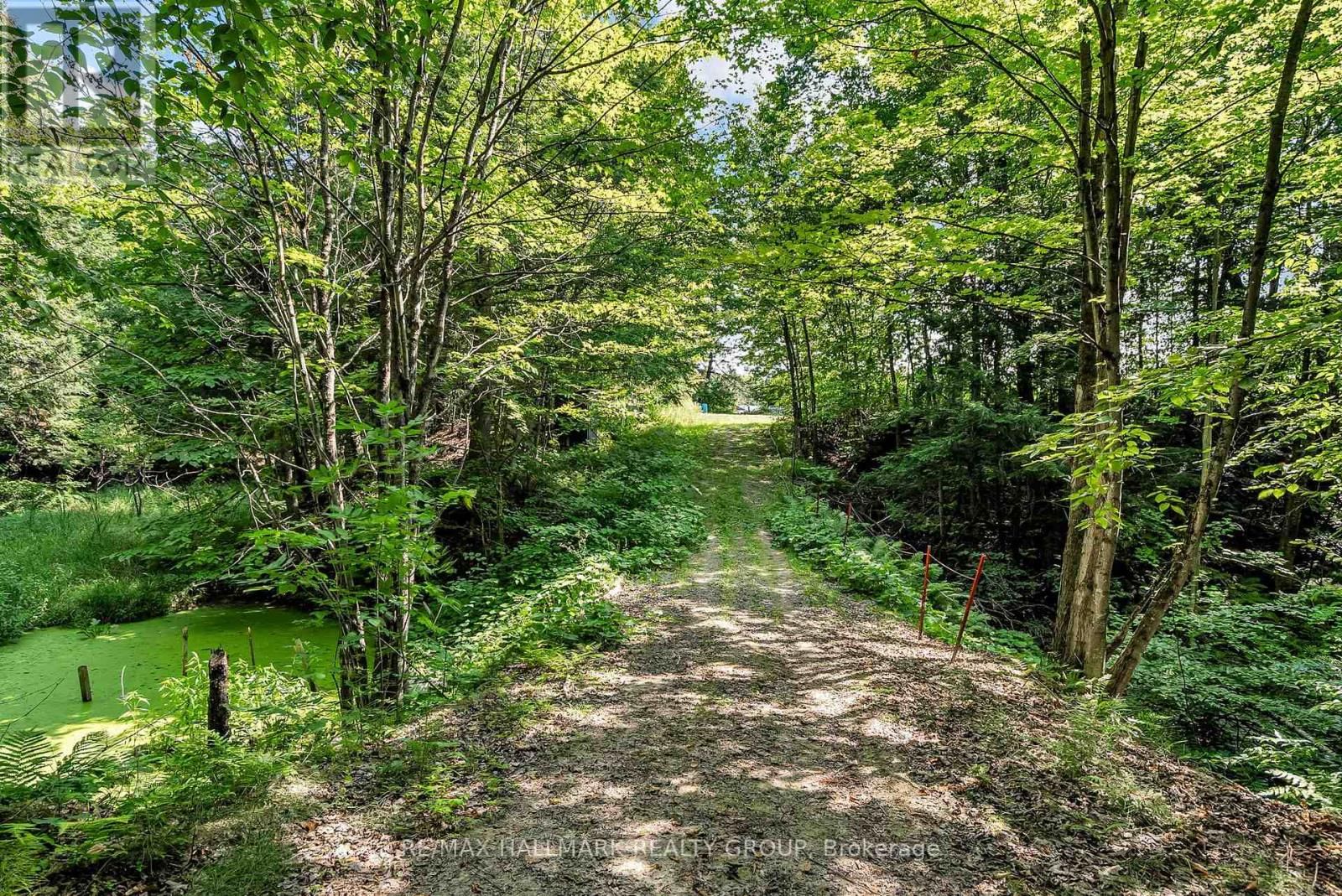 656 CH STATION ROAD Image 38