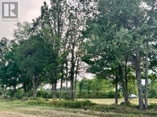 0 KITLEY LINE 8 ROAD Image 18