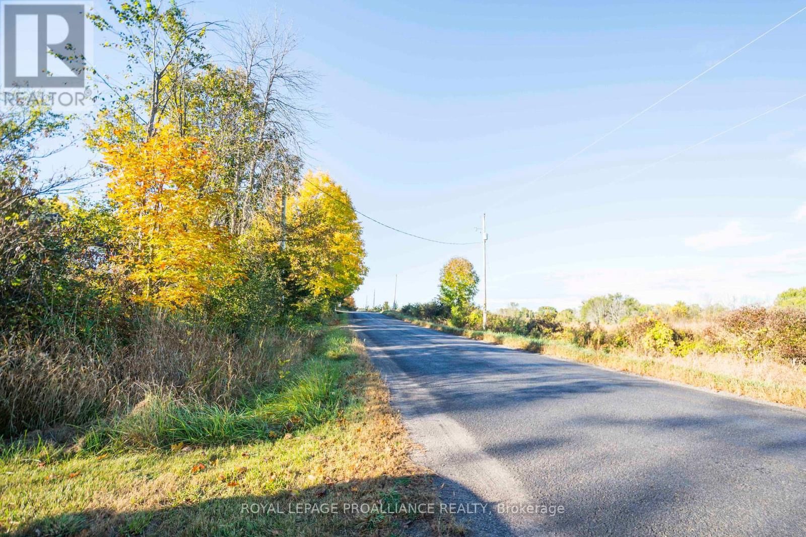 863 GUNTER SETTLEMENT ROAD Image 10