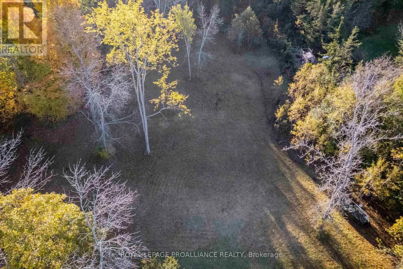 863 GUNTER SETTLEMENT ROAD Image 4