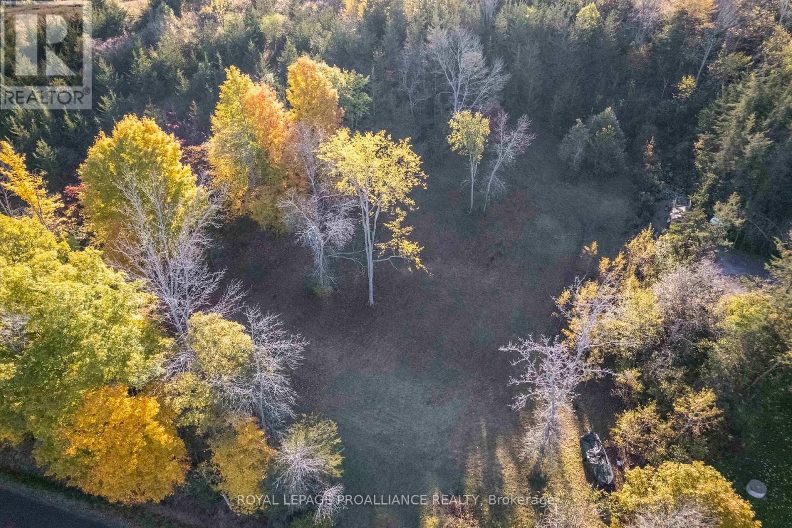 863 GUNTER SETTLEMENT ROAD Image 5